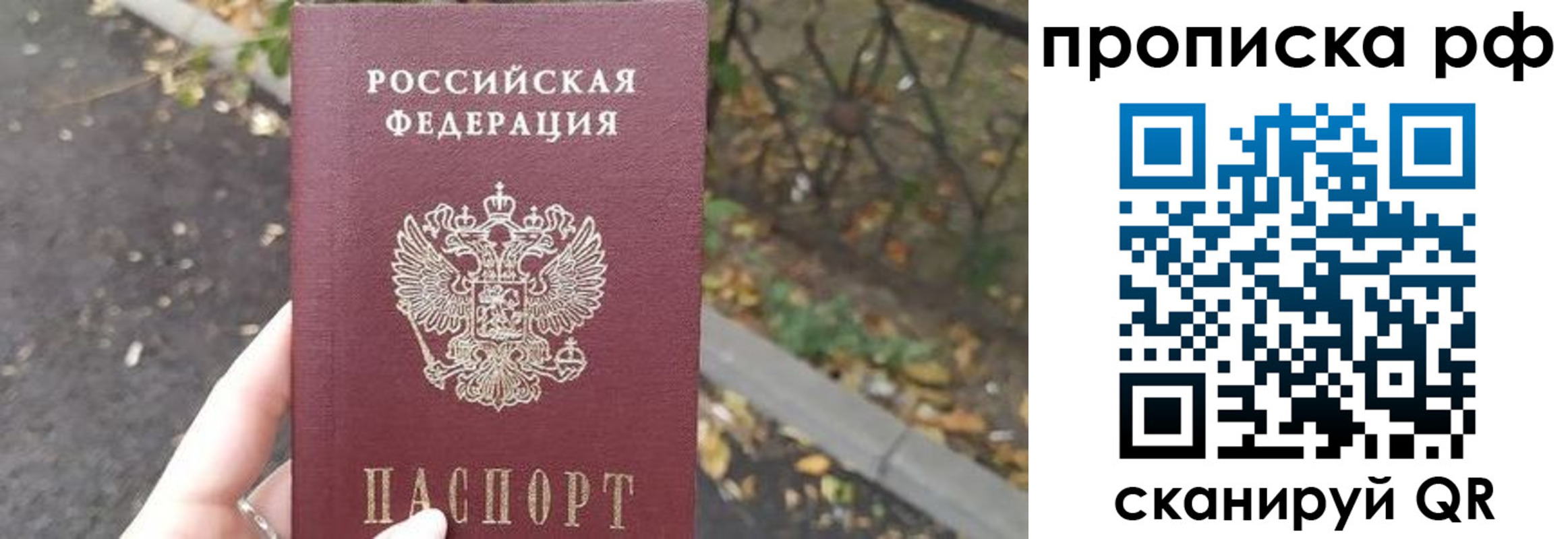прописка штамп в Долгопрудном
