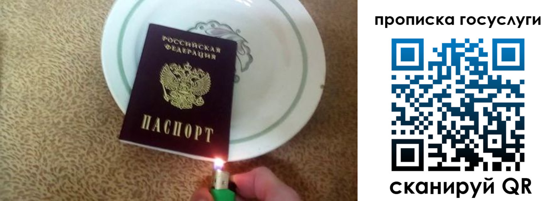 временная регистрация поиск в Долгопрудном